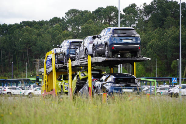 A car carrier truck transports new cars on two levels, parked in a lot with grass in the foreground and trees in the background—an everyday scene for Car Transport Glendale specialists providing seamless AZ auto transport services.